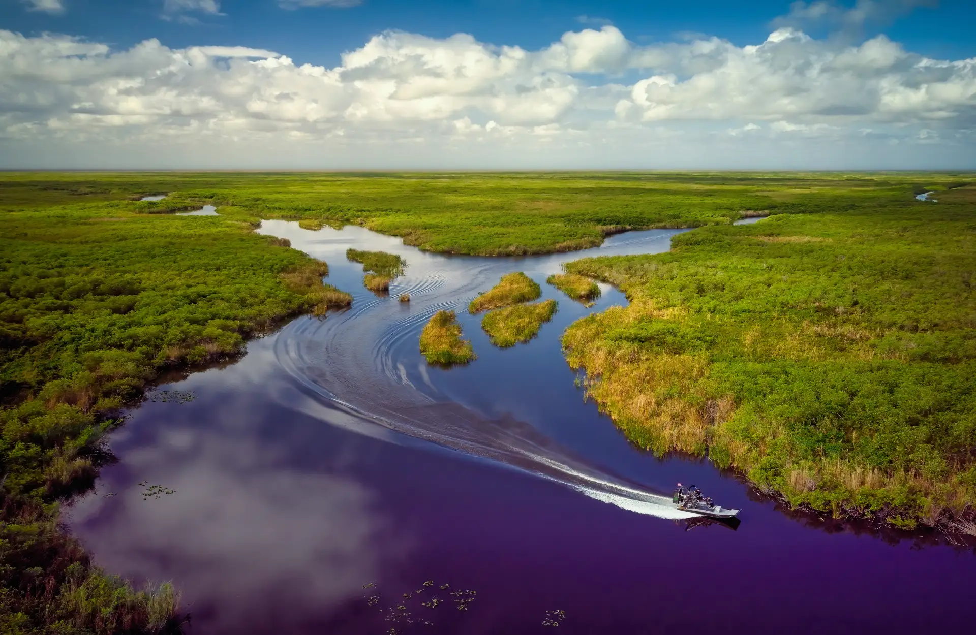 Everglades